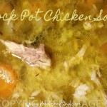 Crock Pot Chicken Soup