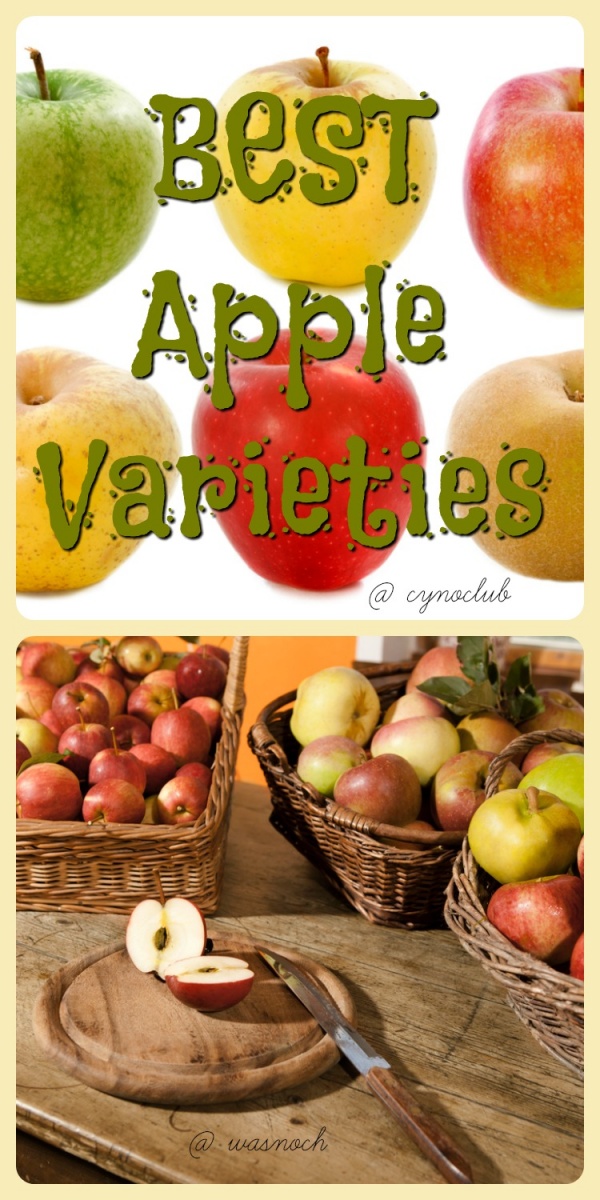 Best Apple Varieties | De's Home Style Food Crafting