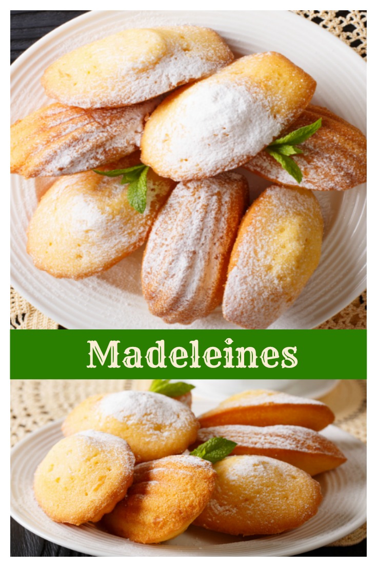 madeleine-cookies - book shaped dinner plates © Can Stock Photo / FomaA