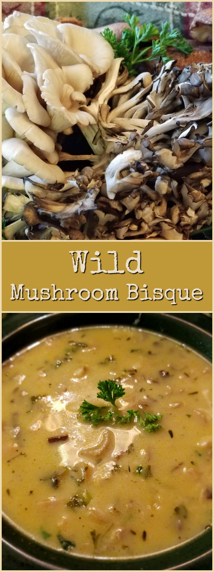 wild-mushroom-bisque-soup-pin