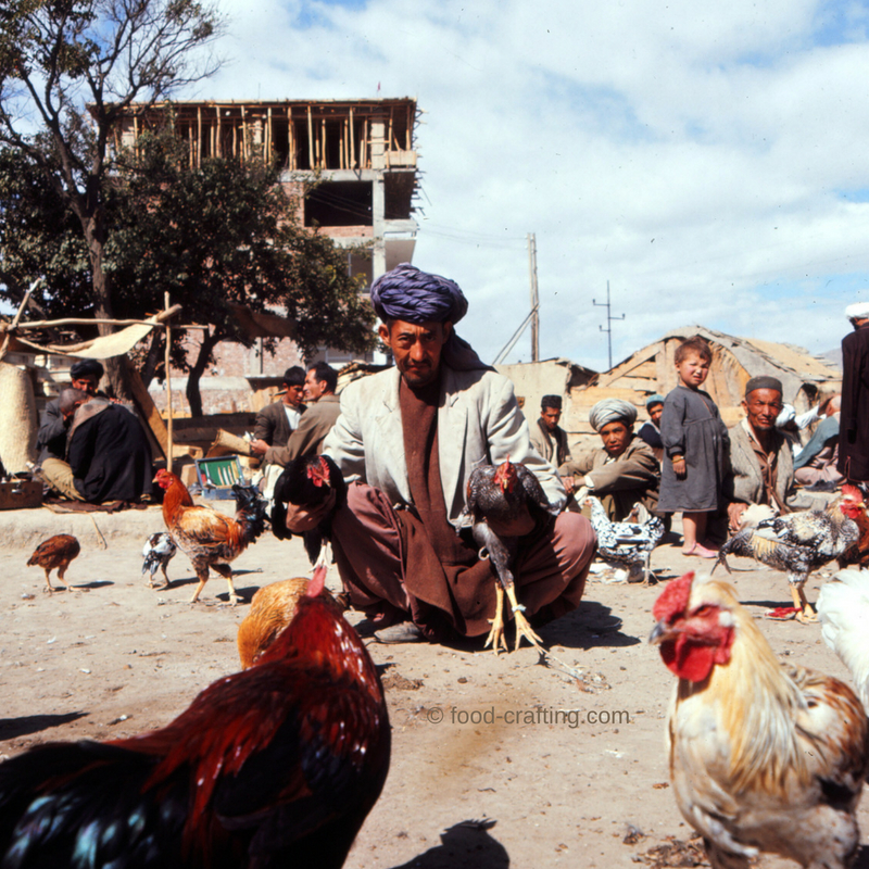 Afghan man proudly selling chickens and roosters in a dusty open air market.
